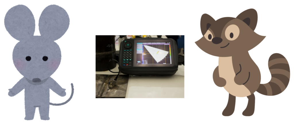 超音波機とネズミと微笑んでいるハクビシンのイラスト