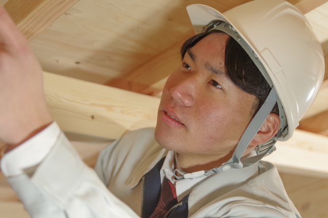 状態を確認するシロアリ業者