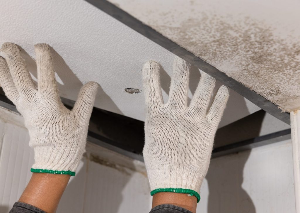 雨漏りをした天井の板を取り換える業者