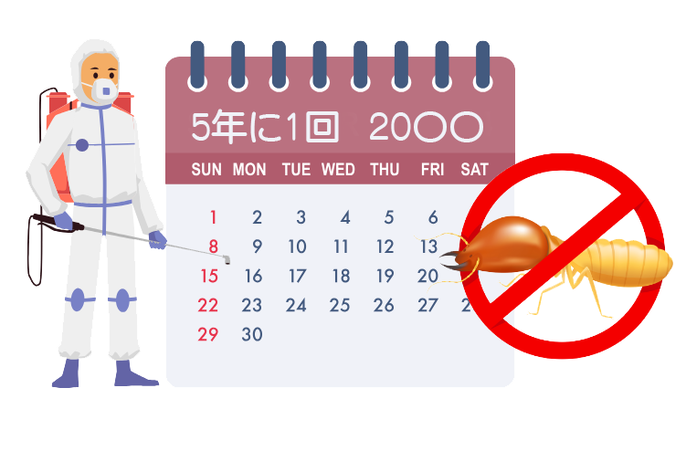５年1度のシロアリ駆除のイラスト